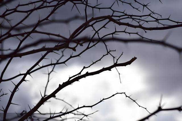 一桩大案三个现场！杨玉章神级推理一把铁锹一个电话成破案关键